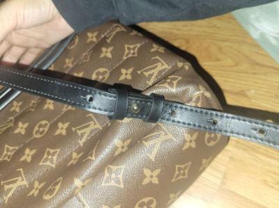 Louis Vuitton Palm Springs Mini - Thumbnail 2