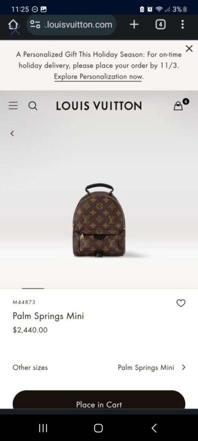 Louis Vuitton Palm Springs Mini - Thumbnail 3