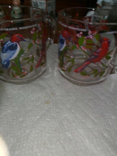 4 Arcorac Audubon Birds of America Mugs - Thumbnail 6