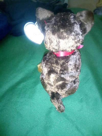 2003 Ty beanie babies Amigo mint condition selling collectio - Thumbnail 3