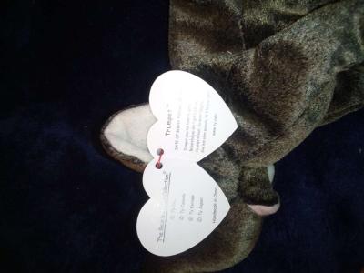 2000 Ty beanie babies Trumpet mint selling collection off