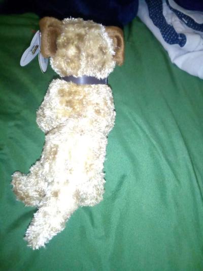 2004 Ty beanie babies Odie mint selling collection off - Thumbnail 4