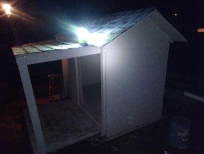 Huge Dog House - Thumbnail 2