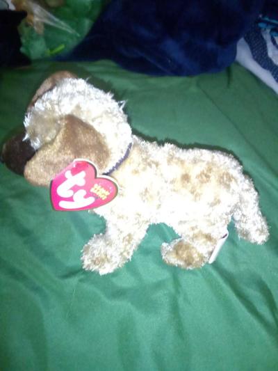 2004 Ty beanie babies Odie mint selling collection off - Thumbnail 3