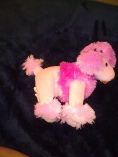 2004 Ty beanie babies ooh la la mint selling collection off