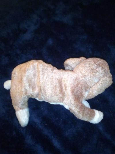 2000 Ty beanie babies sniffer mint selling collection off - Thumbnail 2