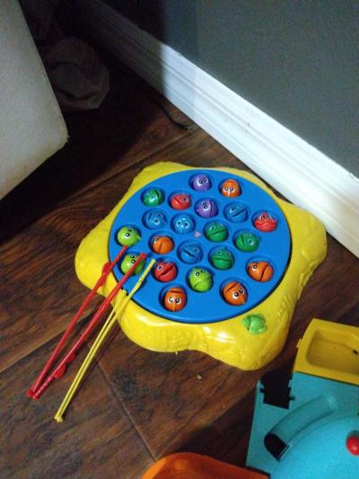 fishing game - Brooksville, Florida