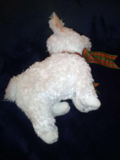 2001 Ty beanie babies Kirby mint selling collection off