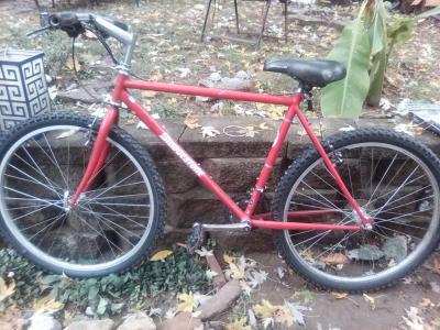 Mountain Bike - Thumbnail 2