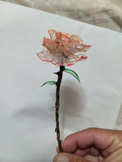 Forever Roses - Thumbnail 3