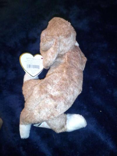 2000 Ty beanie babies sniffer mint selling collection off - Thumbnail 4
