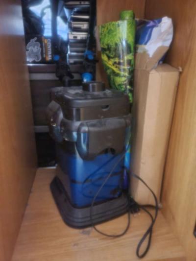 55 gal fish tank - Thumbnail 4