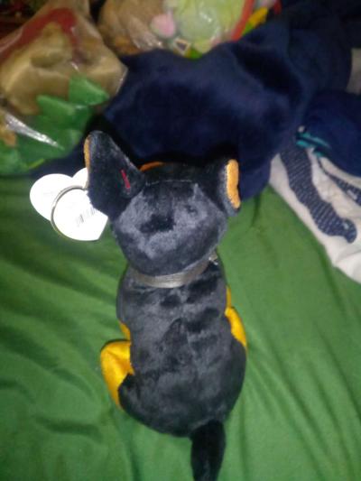 2004 Ty beanie babies Luca mint selling collection - Thumbnail 3