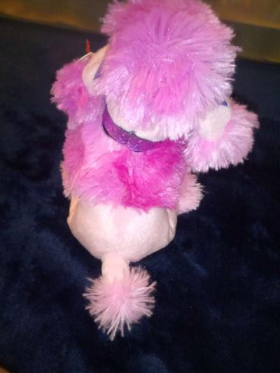 2004 Ty beanie babies ooh la la mint selling collection off - Thumbnail 3