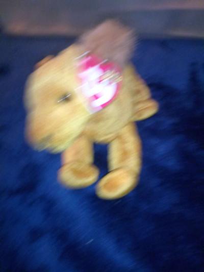 2000 Ty beanie babies Niles mint selling collection off - Thumbnail 2