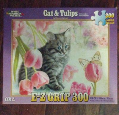 kitten puzzle - Brooksville, Florida