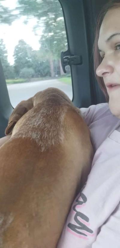 Dog love - Thumbnail 3