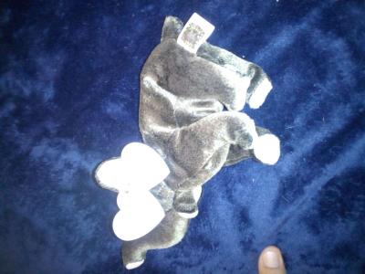 2000 Ty beanie babies Trumpet mint selling collection off - Thumbnail 2