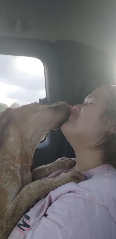 Dog love - Thumbnail 2