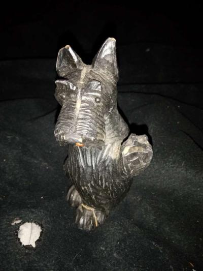 black terrier dog - Thumbnail 2