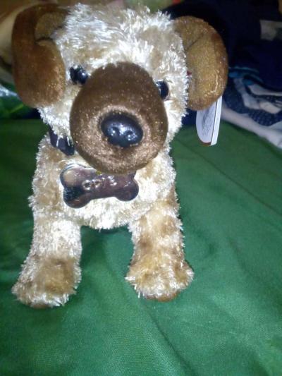 2004 Ty beanie babies Odie mint selling collection off