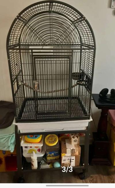 Large  Bird Cage  With Two cockatiel - Thumbnail 2