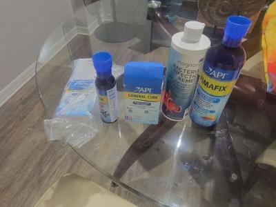 75 gallon Aquarium - Thumbnail 5