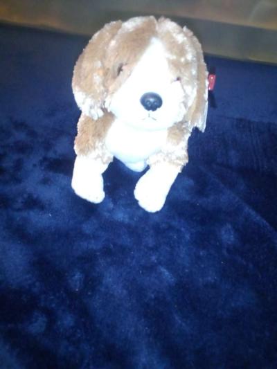 2003 Ty beanie babies side kick mint selling collection off - Thumbnail 3