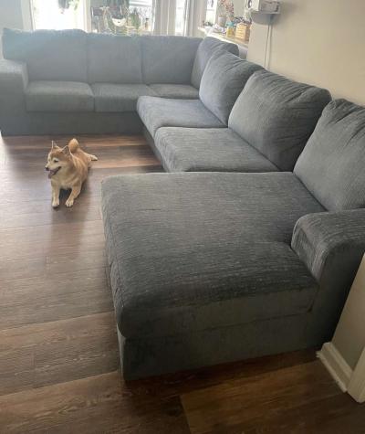 Blue comfy coach - Thumbnail 2