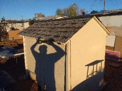 Huge Dog House - Thumbnail 4