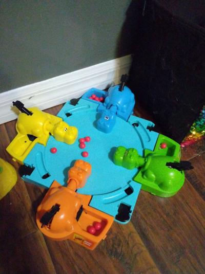 hungry hungry Hippo - Brooksville, Florida