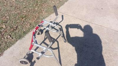 child walker - Thumbnail 2