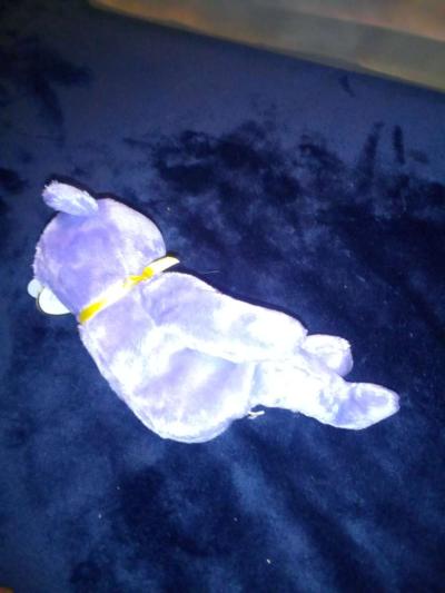 2002 Ty beanie babies 10 yrs eggs 111 mint selling collectio - Thumbnail 4