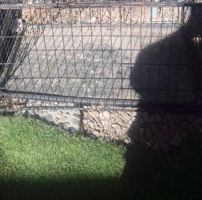Dog Kennels Cages - Thumbnail 3