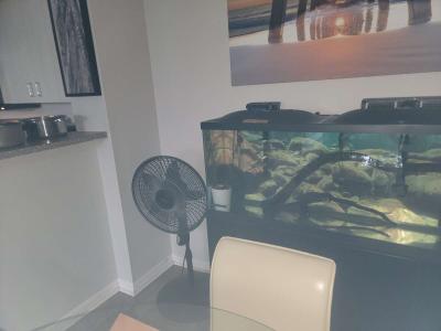 75 gallon Aquarium - Thumbnail 4