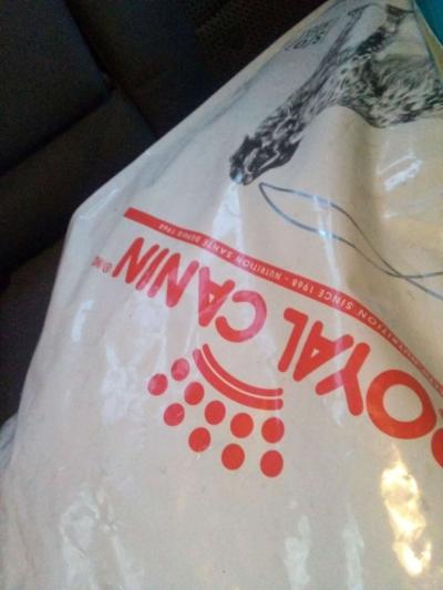 dog food - Thumbnail 2