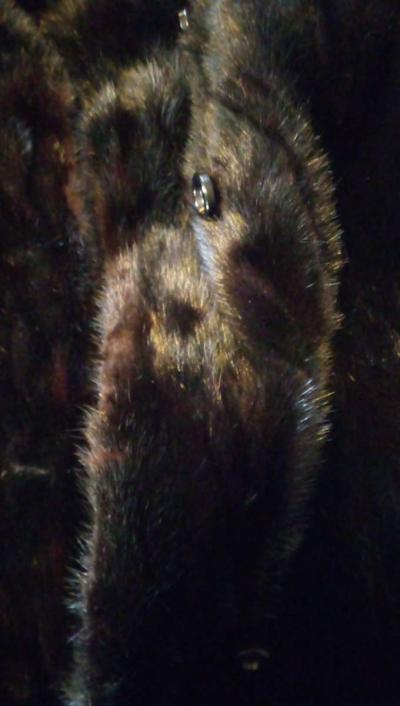 black mink jacket - Thumbnail 6