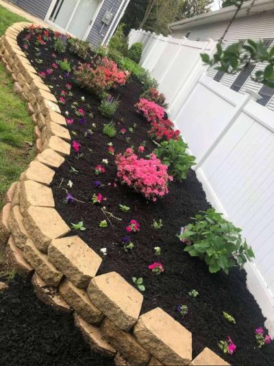 Servicio De Jardineria - Thumbnail 6