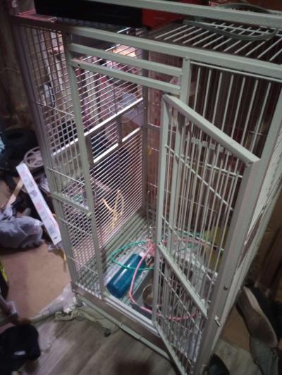 mamel cage - Thumbnail 3