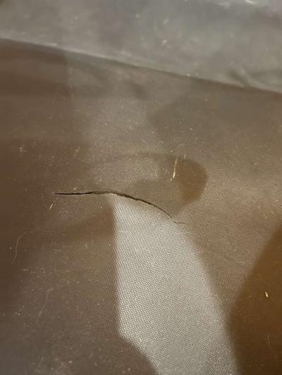 Schwinn dog trailer to attach to bike - Thumbnail 5