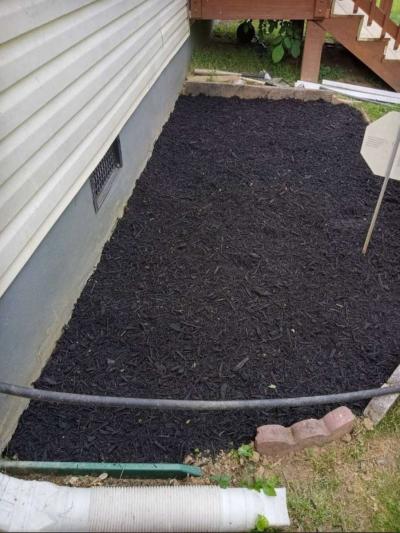 Servicio De Jardineria - Thumbnail 5