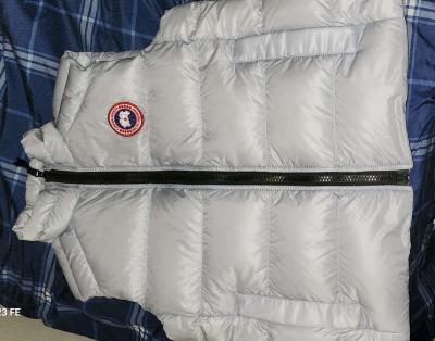 canada goose - Thumbnail 3