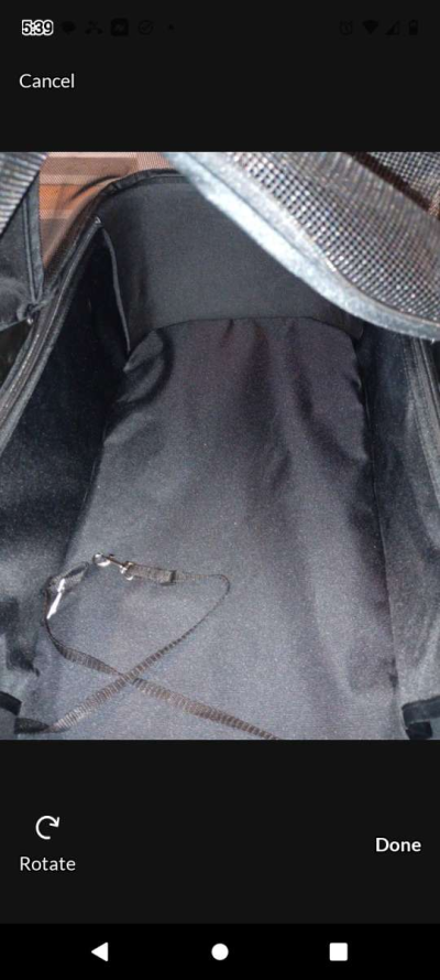 Dog Carseat and stroller combo - Thumbnail 2