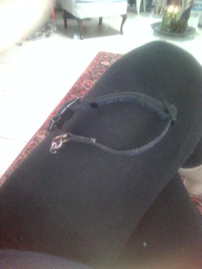 small dog or cat Mickey mouse collar - Thumbnail 2