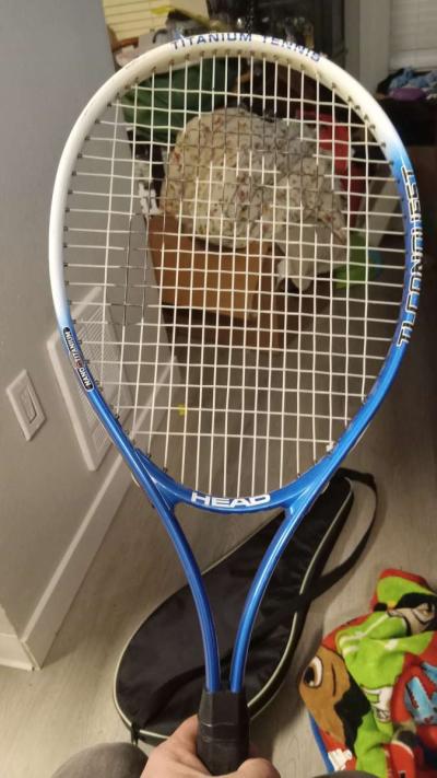 head tennis racquet ti conquest - Thumbnail 2