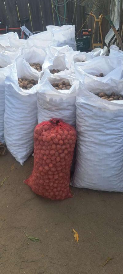 walnuts Chandlers - Thumbnail 3