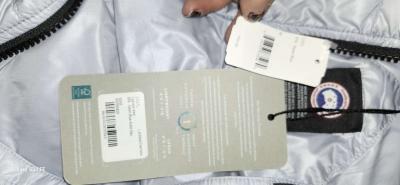 canada goose - Thumbnail 4