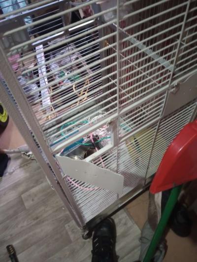 mamel cage - Thumbnail 2