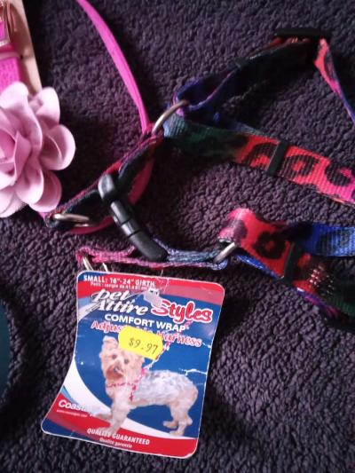 Pet Collars - Thumbnail 5