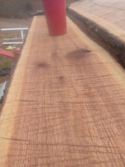 Live Edge Wood Slabs - Thumbnail 3
